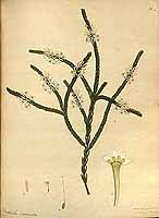  no thumbnail available