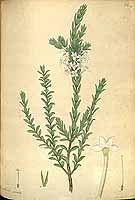  no thumbnail available