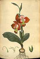  no thumbnail available