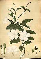  no thumbnail available