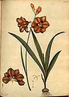  no thumbnail available