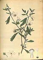  no thumbnail available