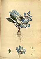  no thumbnail available