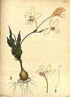  no thumbnail available