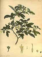  no thumbnail available