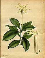  no thumbnail available