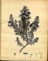  no thumbnail available