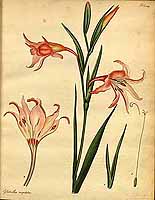  no thumbnail available