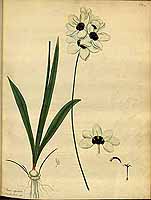  no thumbnail available