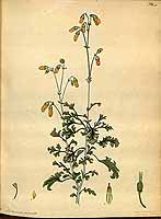  no thumbnail available