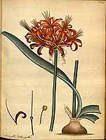  no thumbnail available