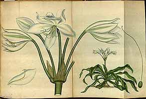  no thumbnail available