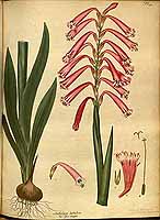  no thumbnail available