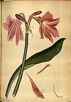  no thumbnail available