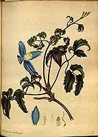  no thumbnail available