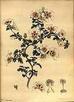  no thumbnail available