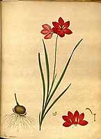  no thumbnail available