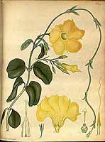  no thumbnail available