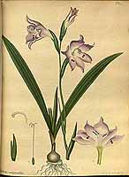  no thumbnail available