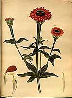  no thumbnail available