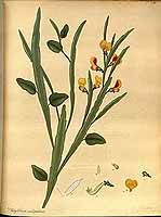  no thumbnail available