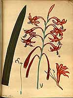  no thumbnail available