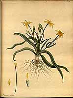  no thumbnail available