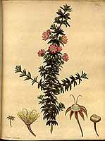  no thumbnail available