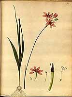  no thumbnail available