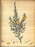  no thumbnail available