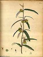  no thumbnail available