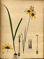  no thumbnail available