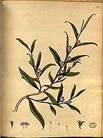  no thumbnail available