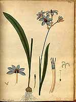  no thumbnail available