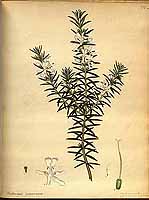  no thumbnail available