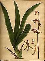  no thumbnail available