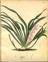  no thumbnail available