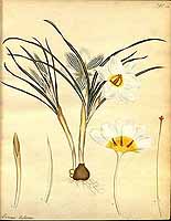  no thumbnail available