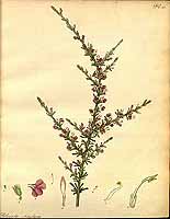  no thumbnail available