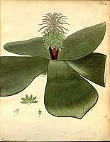  no thumbnail available