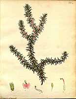  no thumbnail available