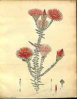  no thumbnail available