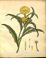  no thumbnail available