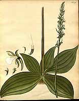  no thumbnail available