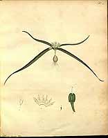  no thumbnail available