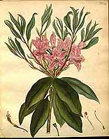  no thumbnail available