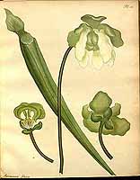  no thumbnail available