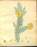  no thumbnail available