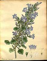  no thumbnail available