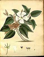  no thumbnail available